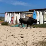 I Pini Palau