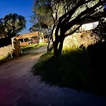 I Pini Palau