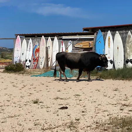 I Pini Palau
